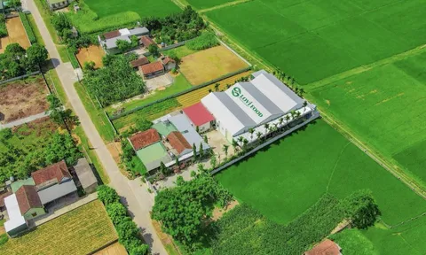 Nhà máy LOVI FOOD hiện đại giữa lòng quê Yên Thành – Khi một thương hiệu giúp hồi sinh kinh tế địa phương