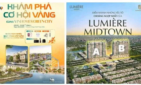 Công Ty TNHH Tâm Sen 2 – Kiến tạo giá trị từ tâm, vững bước tầm cao